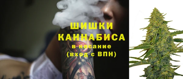 ПСИЛОЦИБИНОВЫЕ ГРИБЫ Абаза