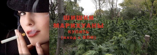 ПСИЛОЦИБИНОВЫЕ ГРИБЫ Абаза
