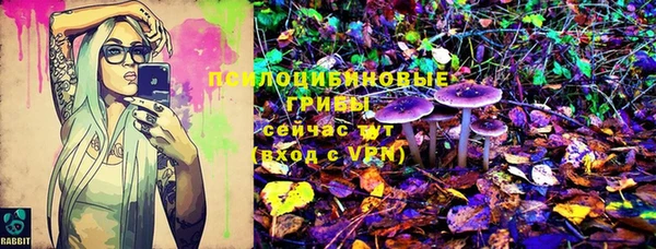 твердый Абинск