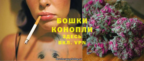 ПСИЛОЦИБИНОВЫЕ ГРИБЫ Абаза