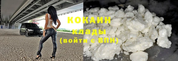 ПСИЛОЦИБИНОВЫЕ ГРИБЫ Абаза
